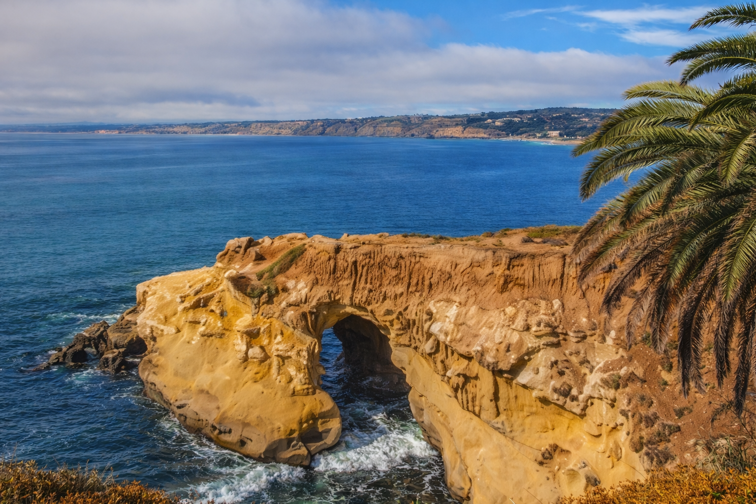 La Jolla Cove